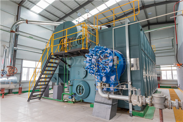 國產(chǎn)品牌燃?xì)忮仩t