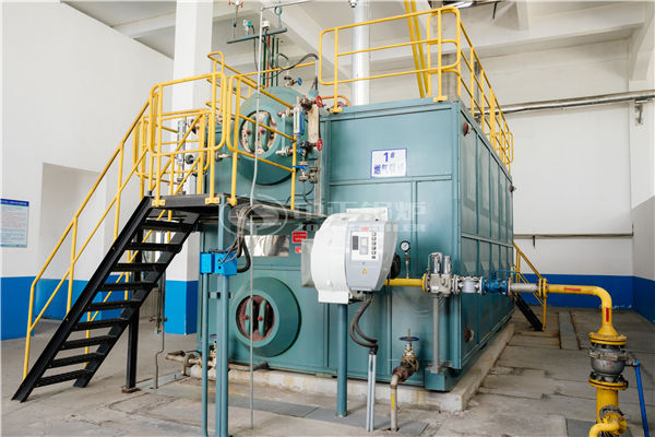 6噸燃煤鍋爐價格