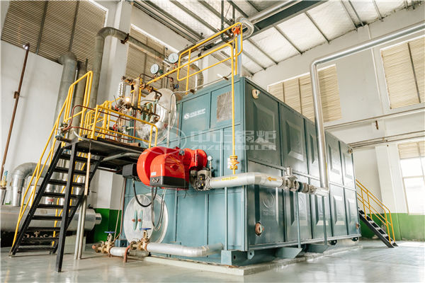 生物質(zhì)鍋爐