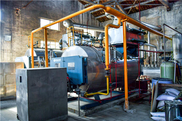 中小型化工廠6噸燃氣蒸汽鍋爐