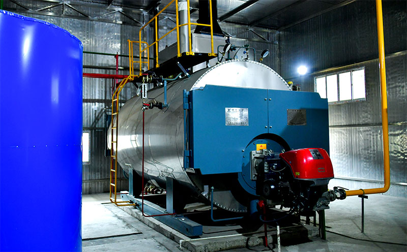 生物質(zhì)熱水鍋爐十大排名客戶案例圖片