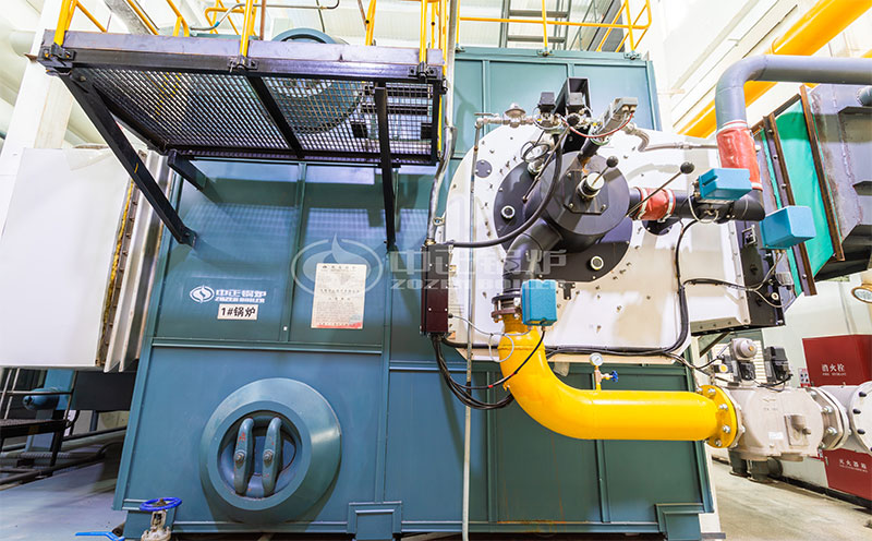 惠水長田36噸生物質鍋爐客戶案例圖片