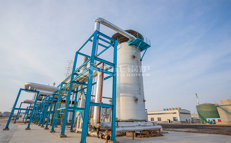 三噸生物質(zhì)鍋爐參數(shù)客戶案例圖片