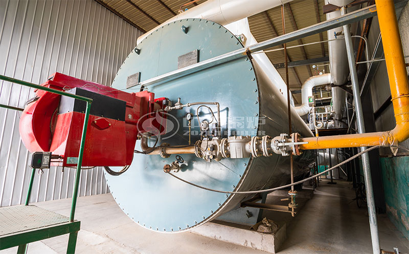 50th蒸汽鍋爐客戶案例圖片