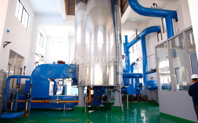 130噸的燃煤鍋爐與生物質(zhì)鍋爐哪個(gè)價(jià)格高客戶案例圖片