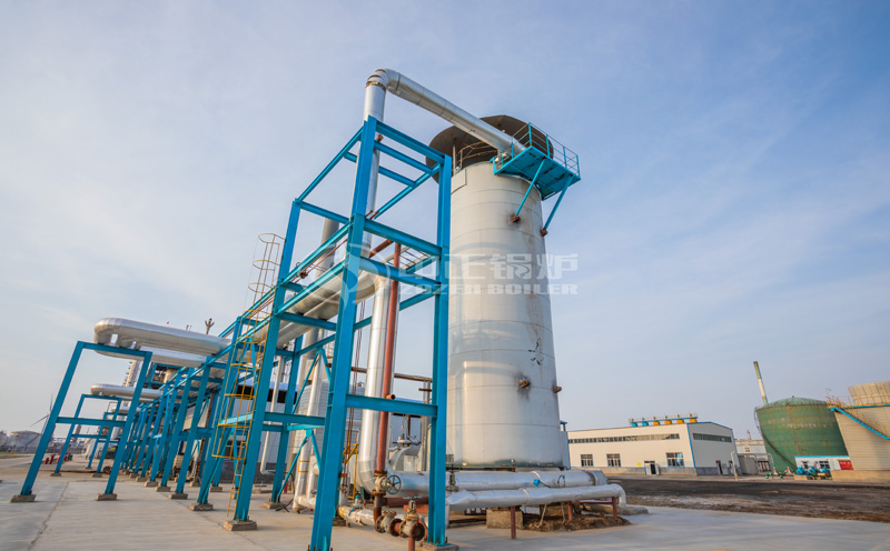 30t/h燃煤鍋爐是多少萬噸客戶案例圖片