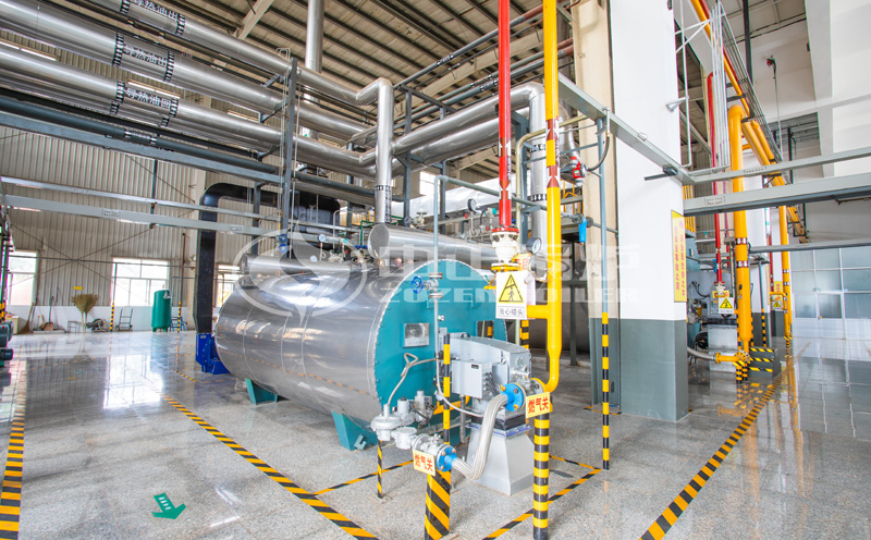 生物質(zhì)鍋爐價(jià)格一覽表客戶案例圖片