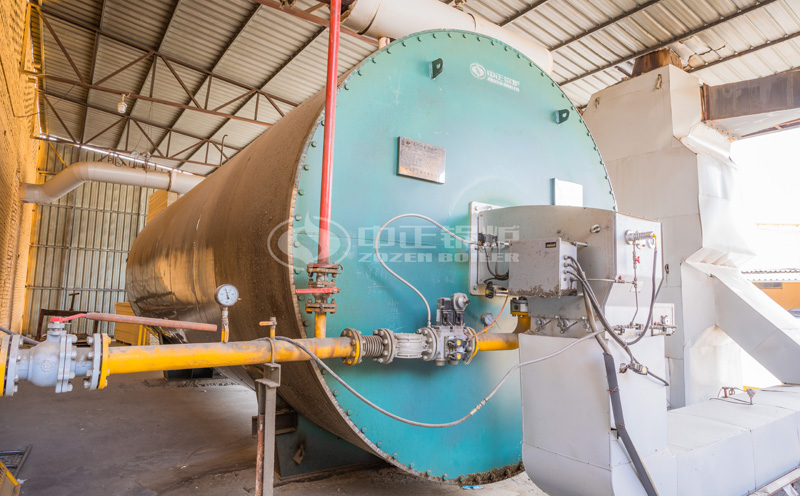 哈爾濱生物質(zhì)蒸汽鍋爐廠家客戶案例圖片