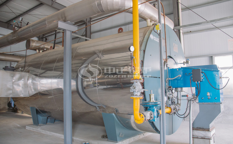 生物質(zhì)鍋爐制造廠家客戶案例圖片