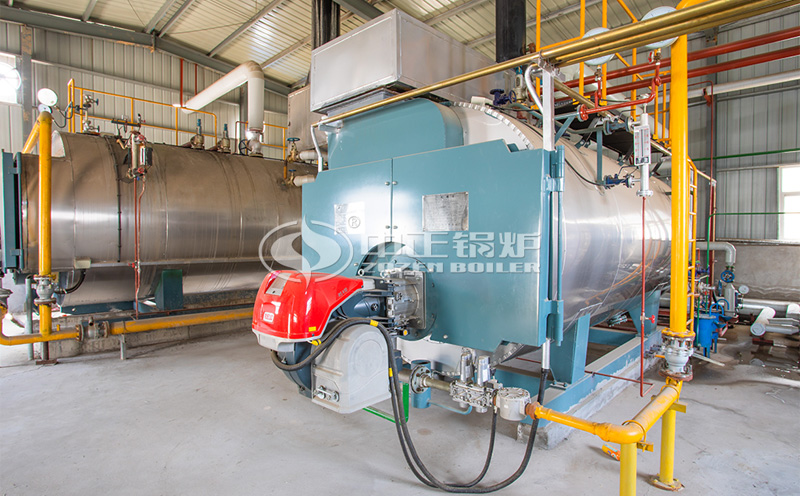 惠水長田36噸生物質鍋爐客戶案例圖片