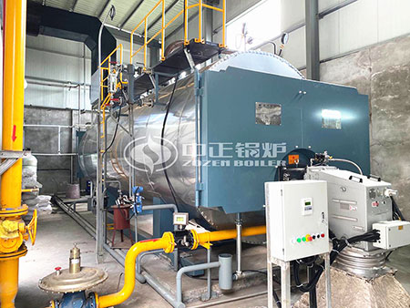 發(fā)往客戶的15噸燃?xì)庹羝仩t