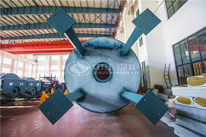 WNS燃?xì)庹羝仩t公司