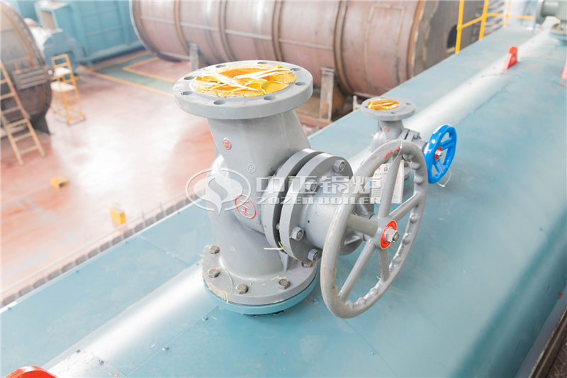 10噸燃?xì)庹羝麪t公司