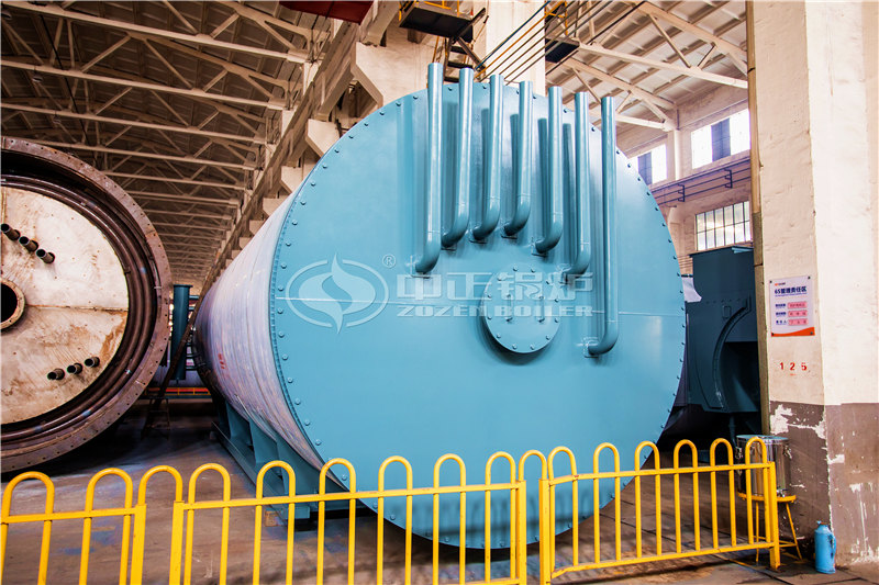 10噸燃?xì)庹羝仩t企業(yè)