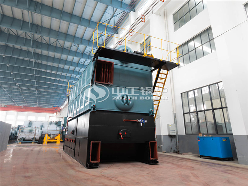 10T燃?xì)庹羝仩t大廠