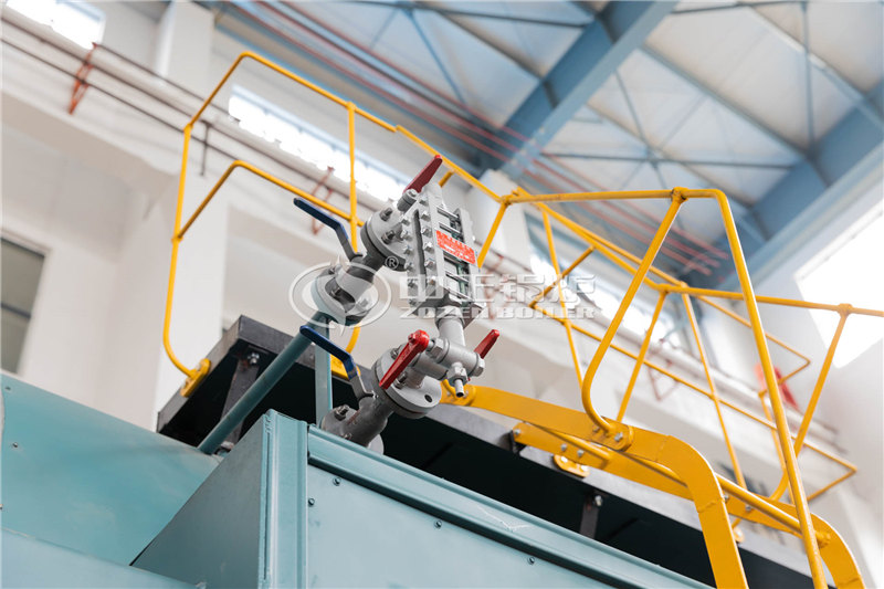 WNS燃?xì)庹羝仩t生產(chǎn)廠家