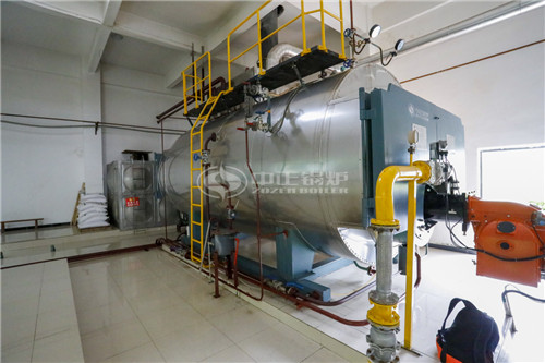 一臺(tái)10噸燃?xì)鉄崴仩t貴嗎